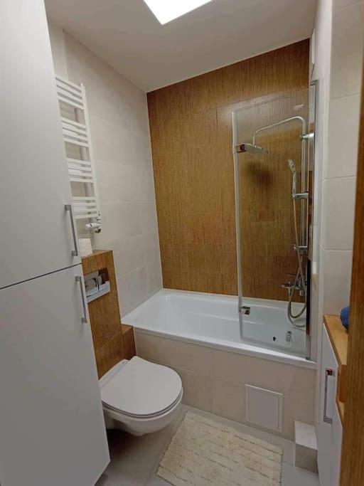 Apartment Apartament Podgorna 19 *