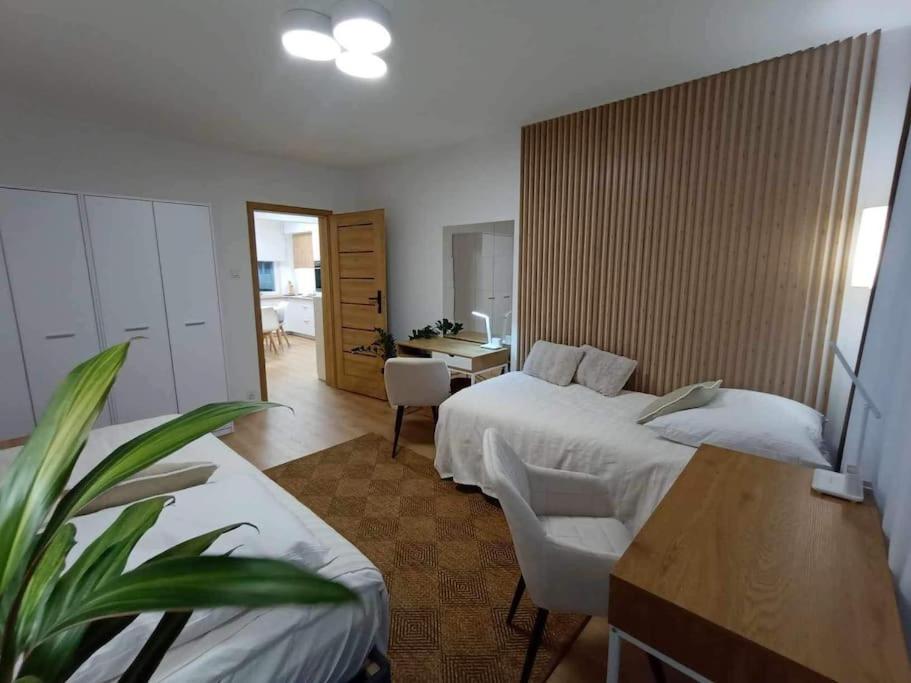 Apartament Podgorna 19 * Torun