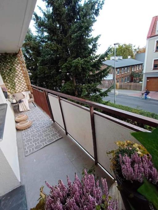Apartment Apartament Podgorna 19 Torun