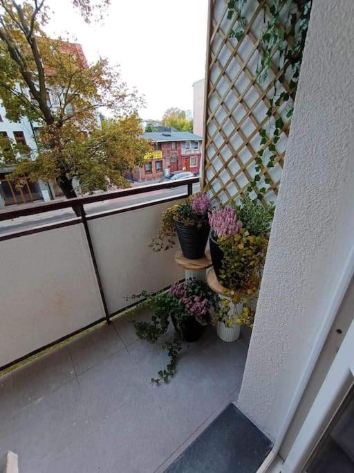 Apartament Podgorna 19 Torun